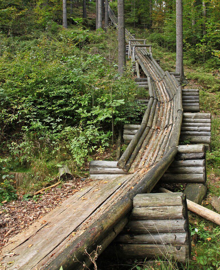Hinterhermsdorf, Walderlebniszentrum Waldhusche Nachbau einer Holzriese (Husche) (01 2)