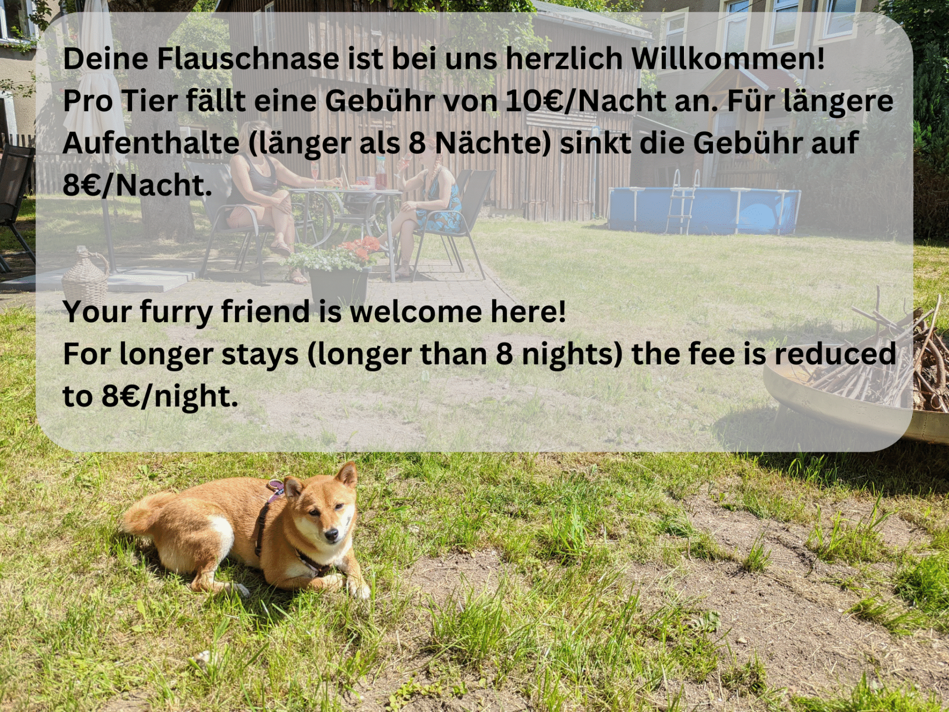 Your fluffy nose Sebnitztal