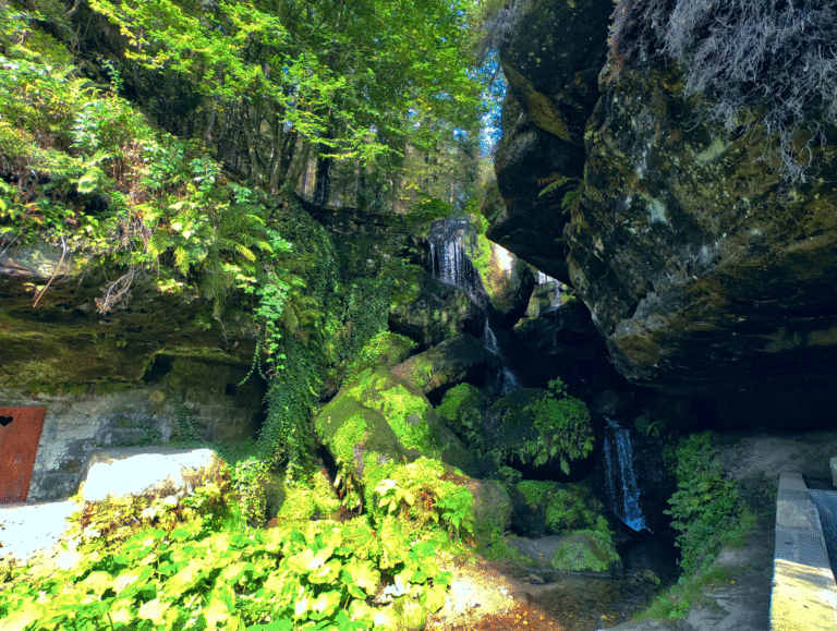 Zwischenüberschrift hinzufügen(1)